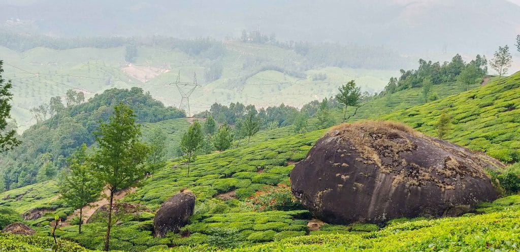 Munnar-plantheunplanned