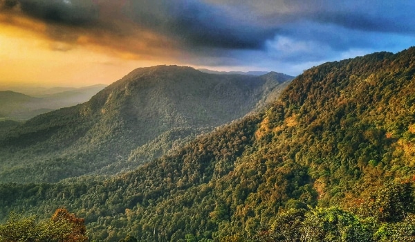 Agumbe Rainforest Camping