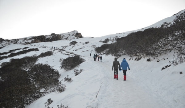 chandrashila deoriatal trek
