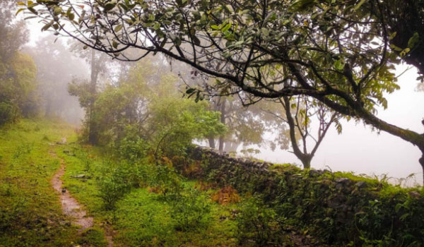 NishaniMotteCoorg